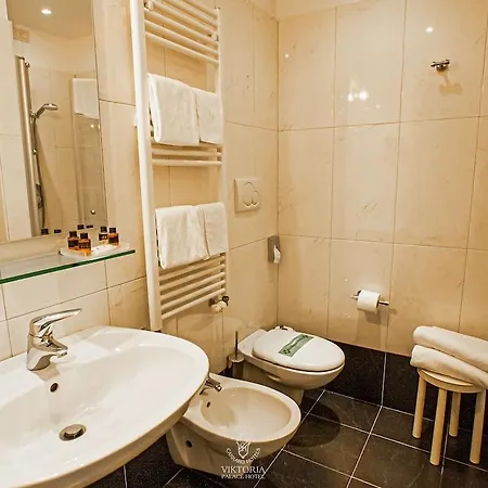 Viktoria Palace Hotel 4*