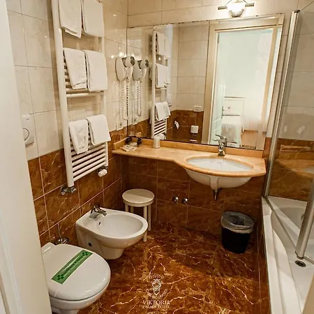 Hotel Viktoria Palace 4*