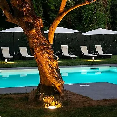 Viktoria Palace 4* البندقية-ليدو